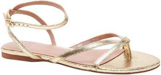 Linea Paolo Luz Ankle Strap Sandal in Gold at Nordstrom, Size 5.5