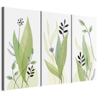 OEM Pintura - Green Day (3 Partes)