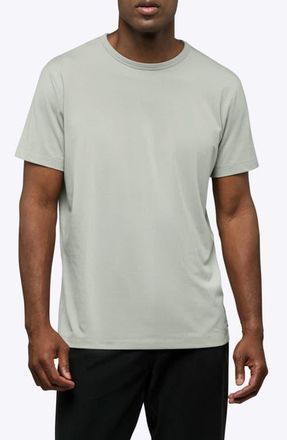 Cuts AO Forever T-Shirt in Mourning Dove at Nordstrom, Size Xx-Large