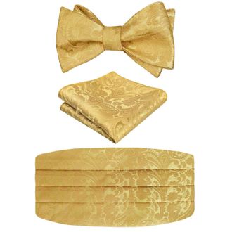 Alizeal Mens Classic Paisley Self-tied Adjustable Bow Tie, Cummerbund and Pocket Square Set, Golden Olive