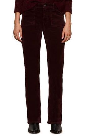 Sanctuary High Waist Bootcut Velveteen Pants in Dark Crimson Red at Nordstrom Rack, Size 34 P