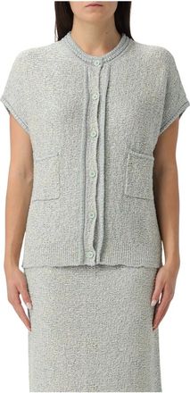 Fabiana Filippi Truien & Vesten, Dames, Grijs, L, Stijlvolle Sweaters voor een Chic Look