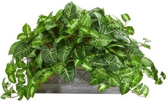 Nearly Natural Nephthytis Artificial Plant in Stone Planter in Green at Nordstrom