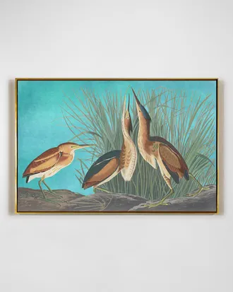 RFA Fine Art Least Bittern Wall Art