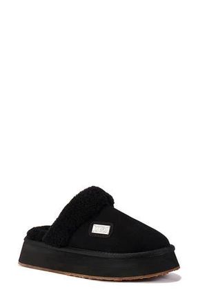 Australia Luxe Genuine Shearling Platform Mule Slipper in Black at Nordstrom Rack, Size 7