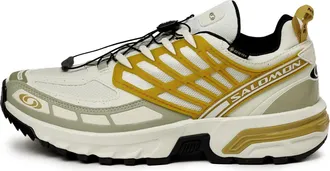 Salomon ACS Pro Gore-Tex Cicle Antelope 475998