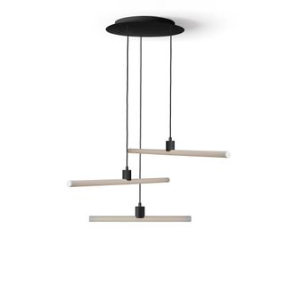 Daylight Italia L&aacute;mpara de techo con roset&oacute;n negro