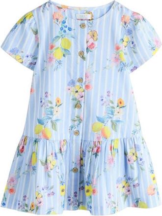 Next Kids Floral Stripe Cotton Button-Up Dress in Blue at Nordstrom, Size 12-18M