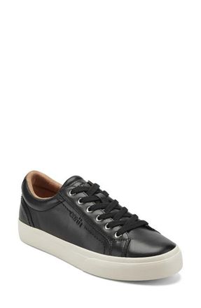 Earth Dailey Sneaker in Black at Nordstrom, Size 6.5