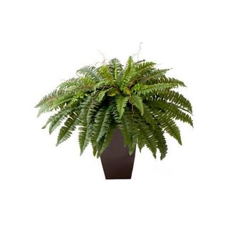 Nearly Natural 23-in Artificial Boston Fern Plant with Tapered Bronze Square Metal Planter DIY KIT in Green at Nordstrom