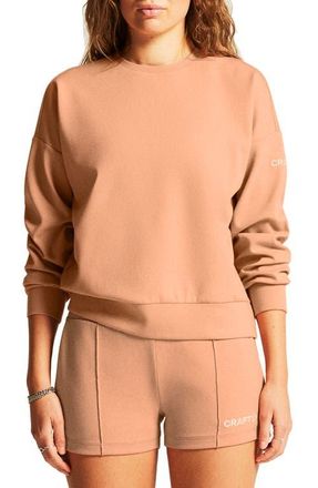 Craft ADV Join Jersey Sweatshirt in Syrup at Nordstrom, Size X-Large