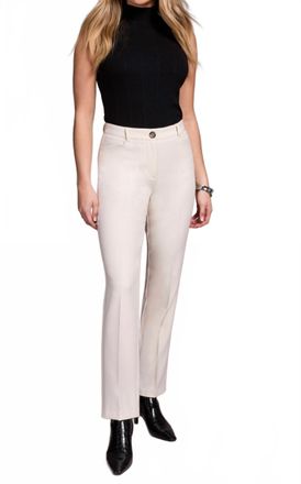 Tribal Fly Front Trouser In Moonstone