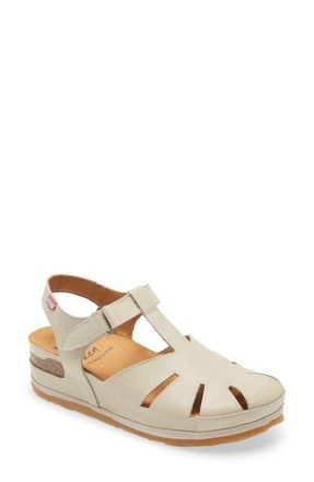 On Foot 202 Sandal in Hielo at Nordstrom, Size 8Us