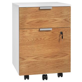HOMCOM 2 Drawer Filing Cabinet With Adjustable Hanging Bars For A4 And Letter | TJ Hughes
