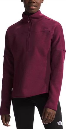 The North Face Womens Front Range Fleece 1/2 Zip Jacket In Boysenberry Heather