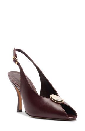 Arezzo Olivia Slingback Peep Toe Pump in Dark Bordo at Nordstrom, Size 6