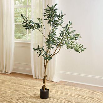Ballard Designs Faux Tall Olive Leaf Tree - Ballard Designs