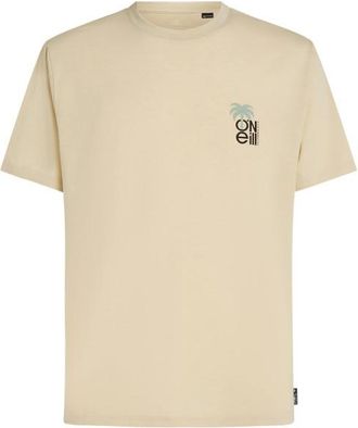 O'Neill Hybrid Polygiene Graphic T-Shirt T-Shirt f&uuml;r Herren | beige