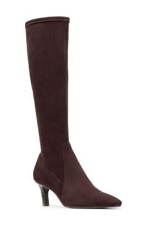Donald J Pliner Kitten Heel Knee High Boot in Dark Brown at Nordstrom Rack, Size 7