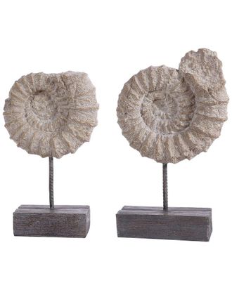 Safavieh Toren Set Of 2 Ammonite Shells Table Decor