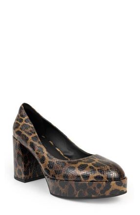 Aerosoles Zarina Platform Pump in Tobacco Multi at Nordstrom, Size 5.5