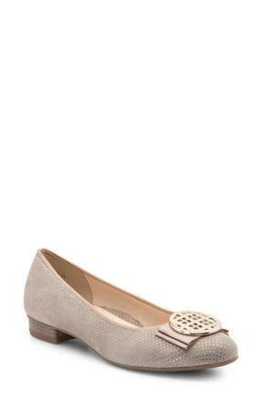 Ara Bambi Flat in Sand Puntikid at Nordstrom, Size 10.5