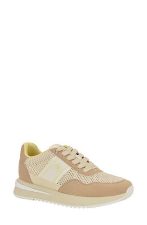 Calvin Klein Palimer Sneaker in Light Natural at Nordstrom, Size 8.5