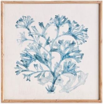 Napa Home & Garden Translucent Coral Print - Blue Framed Art - Coastal Decor at Nordstrom, Size Medium