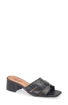 Bottero Catia Slide Sandal in Preto at Nordstrom, Size 11