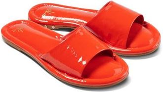 beek Songlark Slide Sandal in Tomato at Nordstrom, Size 12