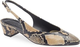 Aeyde Celeste Slingback Pump in Hazelnut at Nordstrom, Size 10.5Us