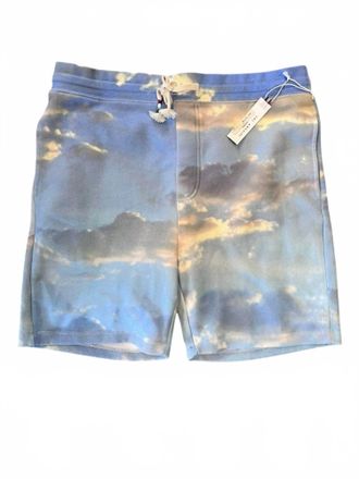 Sol Angeles Mens Golden Hour Short In Multi