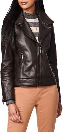 Bernardo Leather Moto Jacket in Chocolate Chip at Nordstrom, Size Large