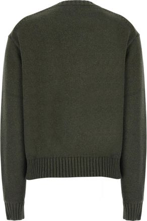 Polo Ralph Lauren Womens Crewneck Sweater Bear Embroidery Green Wool Tops Top