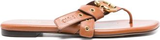 Chlo&eacute; Schoenen, Dames, Bruin, 36 EU, Leer, Mae Sandal