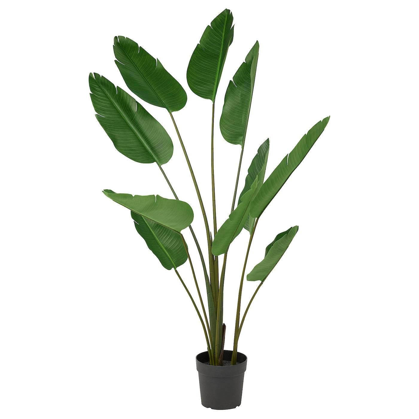 IKEA Ikea FEJKA Knstliche Topfpflanze, hngender Eukalyptus, 58 x 9 cm, 2  Stck ab 21,99  - auf Stylight