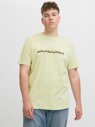Jack & Jones Plus Size Print-Shirt JORCANGGU TEE SS CREW NECK FST PLS, Herren, Gr. 4XL, gr&uuml;n (celadon tint), Jersey, Obermaterial: 100% Baumwolle, JACK & JONES PLUSSIZE, bed