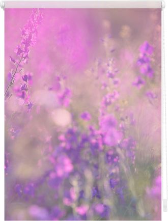 Lichtblick Original Seitenzugrollo »Klemmfix Motiv Blumenwiese« Lichtschutz ohne Bohren freihängend bedruckt
