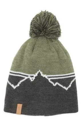Rainforest Mountain Stripe Pom Beanie in Olive Green Hthr/chr Hth Com at Nordstrom Rack