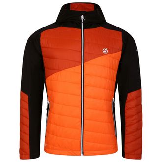 Dare 2B Dare 2B Heren Touring Contrast Paneel Hybride Jas (Puffins Sinaasappel/Rooibosthee)