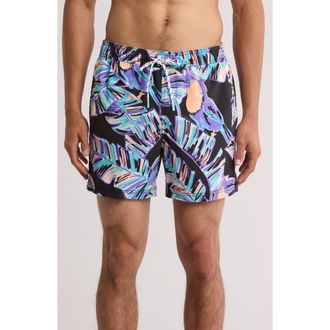 Party Pants Captain Toucan Swim Trunks in Black at Nordstrom Rack, Size X-Large