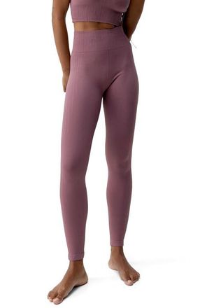 Born Living Yoga Nawal Seamless High Rise Sport Legging in Deep Rose at Nordstrom, Size Medium Eu