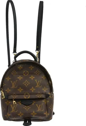 Louis Vuitton Palm Springs Monogram Brown Canvas Backpack Bag (Pre-Owned)