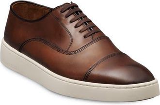 Allen Edmonds Park 2.0 Sneaker in Chili at Nordstrom, Size 11.5