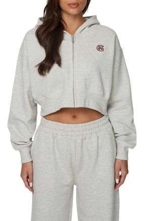 Good For Nothing Cropped Zipped Halftone Hoodie in Grey at Nordstrom, Size X-Small Uk