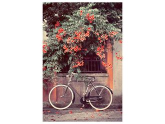 Schubiger M&ouml;bel Digitaldruck auf Glas Fahrrad Unter Roten Bl&uuml;ten