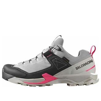 Salomon X Ultra Alpine GTX Nine Iron Rouge Red 478150