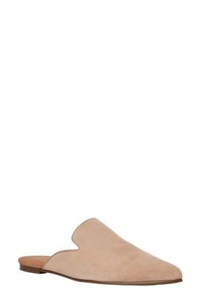 Andr&eacute; Assous Daria Mule in Camel Suede at Nordstrom, Size 8.5