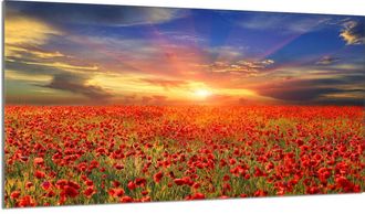 OEM Placa Protectora De Vidrio Para La Estufa 90x52 Maki