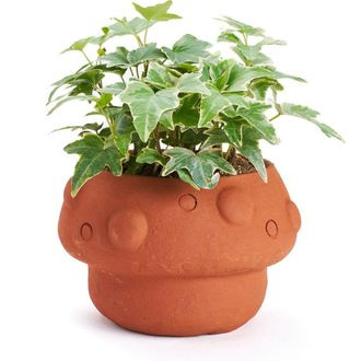 Matr Boomie Rakshana Plant Pot in Mushroom at Nordstrom
